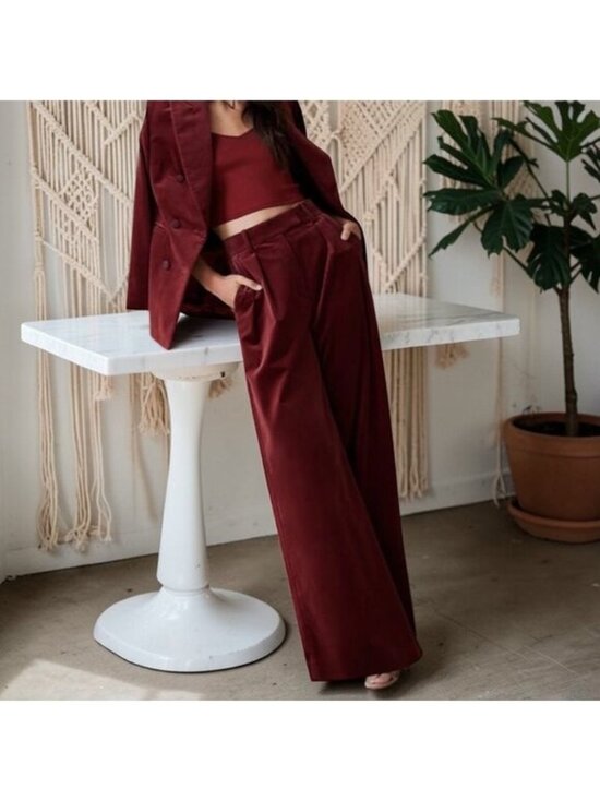 Banana Republic Pants - Banana Republic Veluro Relaxed High Waist Ultra Wide Velvet Pants Size 2 Short